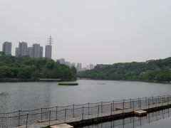 -重庆彩云湖湿地公园