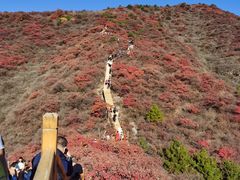 -水峪民俗村