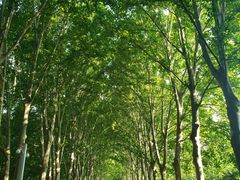 -河南省黄河迎宾馆