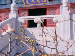 -北京大观园