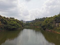 -大屏嶂森林公园