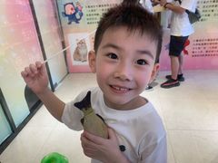 -猫咪博物馆(顶澳仔猫街店)