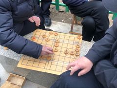 -双榆树公园
