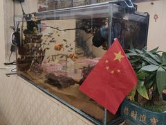 -金鼎雪山牦牛杂火锅(理县总店)