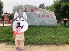 -北京鹿世界主题园