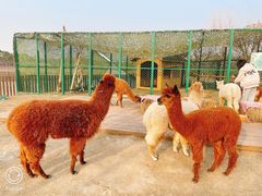 -太阳岛度假酒店