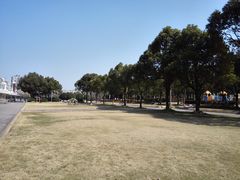 -新江湾城公园
