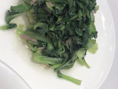 鸡毛菜百叶-新吉士·上海菜(浦东LCM置汇旭辉店)