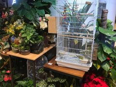 -舌尖上的食缘花园主题餐厅