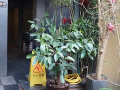 -61号餐吧(兴坪古镇漓江店)