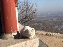 -北京凤凰岭