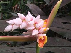 -华南国家植物园-售票处