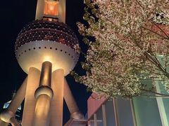 -东方明珠广播电视塔