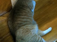 -蓝天射箭馆·专业射箭运动(诚丰广场店)