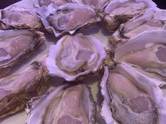 -千岛蚝高压锅生蚝·人参火锅(白云万达店)