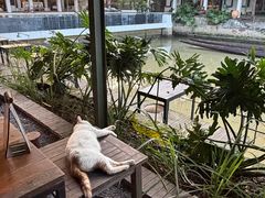 -喜洲吧·江畔老船厂·庭院餐厅(喜临院店)
