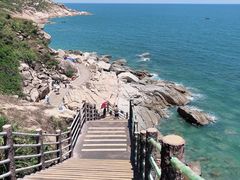 -广东惠东海龟国家级自然保护区