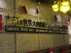 -通海俄式烧烤·俄罗斯大串(嵩山路店)
