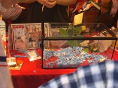 -越秀西湖花市(广州城市广场花卉店)