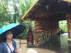 -莫里热带雨林景区