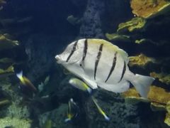 -福州罗源湾海洋世界旅游区