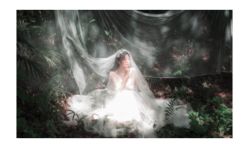 点击看大图 -上花轿婚纱摄影