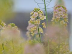 -中国天府农业博览园