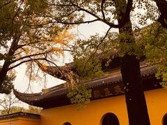 -西园戒幢律寺