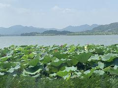 -湖畔居茶楼(湖滨店)