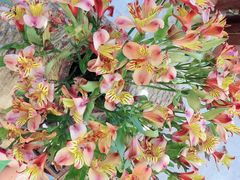 -兰纳泰式spa(古城店)