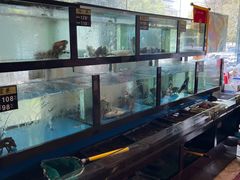 -聚鑫阁江浙菜·非遗传承技艺(闵行交大店)
