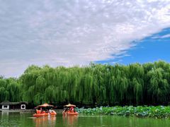 -团结湖公园