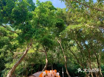 户外生日派对怎么布置｜看我的