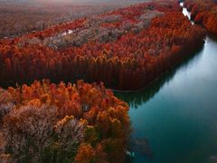 -上海海湾国家森林公园