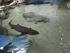 -鸿通城购物中心