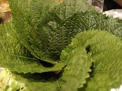 苏子叶-西塔老太太泥炉烤肉(双井店)