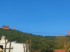-华西村