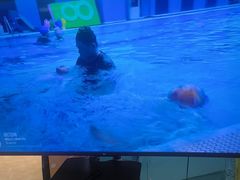 -Swim斯卫姆国际儿童游泳中心(红博中央公园店)