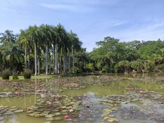 -中国科学院西双版纳热带植物园