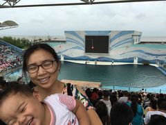 -秦皇岛乐岛海洋王国