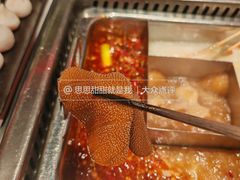 -鼎膳常火锅(华阳店)