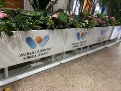 -威海大水泊国际机场