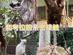 -费瑟代尔野生动物园