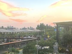 -蘇河湾·新鲁菜·泰山宴(泰山店)