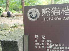 -都江堰中华大熊猫苑