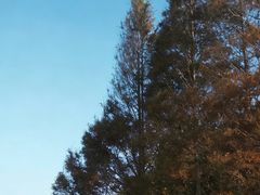 -东钱湖旅游度假区