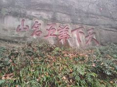 -青城山