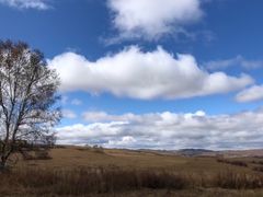 -塞罕坝国家级自然保护区