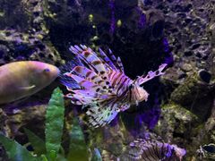 -太平洋海底世界