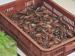 -汪记鲜鱼糊汤粉(沈阳路总店)